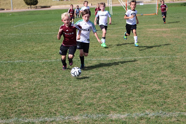 提供了有力 提供了有力