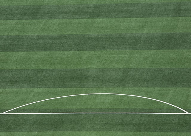 这场比赛不 这场比赛不