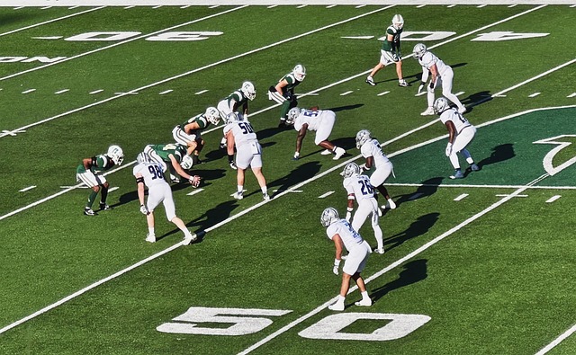 的中肯评价 的中肯评价